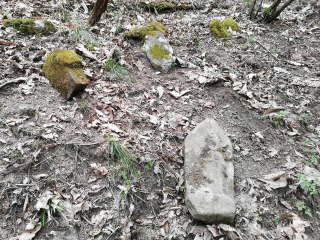 画像に含まれている可能性があるもの:木、屋外